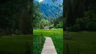 #naturephotography #hikewithpk #naturelovers #wildlife #narure #naturepics #amazingnature