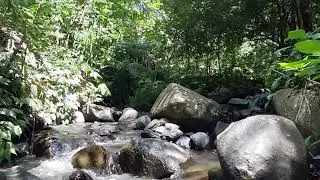 Enjoy 1 hours Of Relaxing_Relaxation _The Sound Of The River_Nature Sounds For A Good Night's Sleep