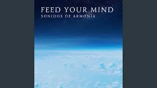 Feed Your Mind