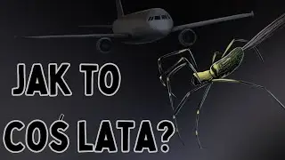 6 zwierząt, o których nie wiedzieliście, że potrafią latać!
