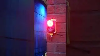 Signal Light For Garage Doors #garagecare #garagedoor #shorts #shortvideo #signallight #homeupgrades