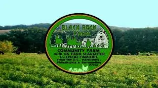 The Free Ranged Sheep of Black Rock Farm.