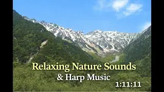 Relaxing Nature Sounds & Harp Music | River, Forest, Birds | 1:11:11