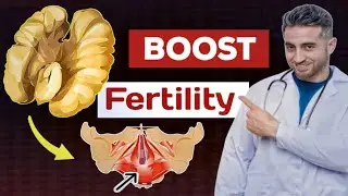 &ldquo;Top 5 Foods to Boost Men&rsquo;s Vitality and Fertility Naturally! Men's Health Daily 