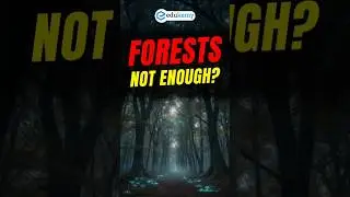 Grasslands vs Forests: Who&rsquo;s the True Climate Hero? | UPSC