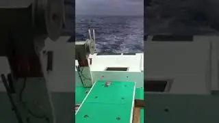 throwing mainline Taiwan fishing boat operation catch king mackerel using artificial bait #fishing