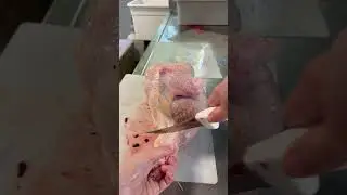 Разделка курицы менее чем за 60 секунд #фермерство #жизньнаферме #куры