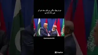Cherry blossom in action. #government #funnymemes #interview #pakistanigovernment