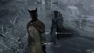 Skyrim The Adventures of Snowball the Dragoncat, Misc Quest Wrap up?
