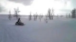 Polaris Pro X 440 wheelie