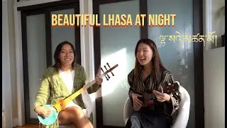ལྷ་སའེ་མཚན་མོ། | Beautiful Lhasa At Night by Dadon Cover