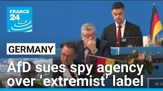 German far-right party sues spy agency over &lsquo;extremist&rsquo; label &bull; FRANCE 24 English
