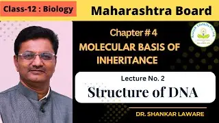 Molecular Basis of Inheritance | Lecture 2 |12 Biology | Structure of DNA | Dr. Shankar Laware