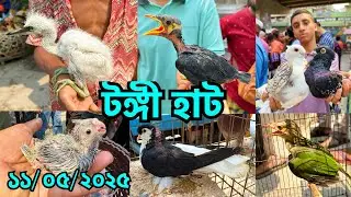 তীব্র গরমে জমেছে টঙ্গী হাট | বন টিয়া, ময়না, শালিক, টিয়া, বকসহ বিভিন্ন পাখি ও কবুতরের সমারোহ #787
