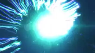 Logo Reveal