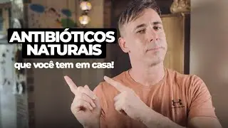 7 MELHORES ANTIBIÓTICOS NATURAIS | Dr Dayan Siebra