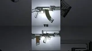 AK VS FAMAS