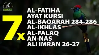 7x Al-Fatihah, Ayat Kursi, Al-Ikhlas, Al-Falaq, An-Nas | Perlindungan dari Sihir & Gangguan Jin