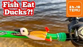DUCK fishing lure from Temu! (Does it work?)