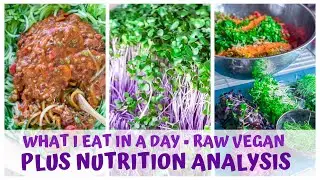 WHAT I EAT IN A DAY &bull; RAW FOOD VEGAN + NUTRITION ANALYSIS