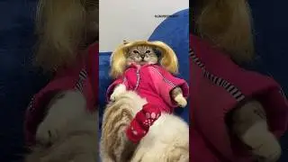 A MALDI&Ccedil;&Atilde;O DA BARBIE