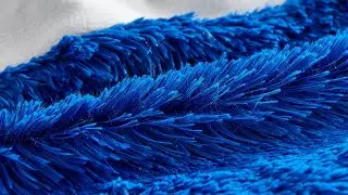 Coma Inducer&reg; Duvet Cover - Are You Kidding? - Royal Blue/White