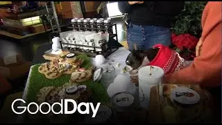 Give Your Pup Their Very Own 