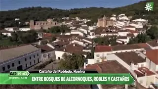 Entre alcornoques y castaños, Castaño del Robledo, Huelva
