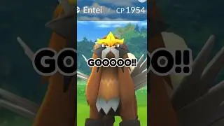 SHINY ENTEI!! #pokemongoshorts #pokemongopvp #pokemongoraids #pokemongoshiny #pokemongoraid
