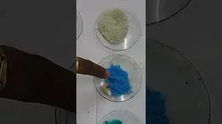 Bhai Mazaa aa gaya ||Colored Salts || Cation Analysis : Part 1