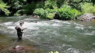 Fast-Water Nymphing On the McCloud River