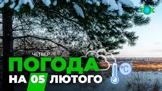 ❄️ Зима бере реванш: синоптики попередили про погоду 5 лютого