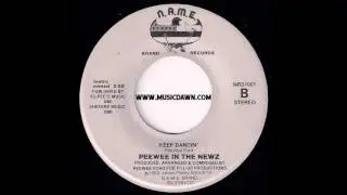 Peewee In The Newz - Keep Dancin' Instrumental [N.A.M.E. Brand] 1983 Boogie Electro Funk 45
