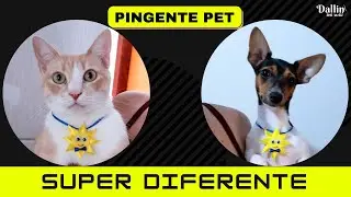 Pingente Pet para ser usado de VÁRIAS Maneiras Fácil e Diferente