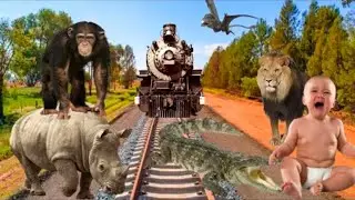 Train 🚂vs Tiger 🐅Vs Elephant 🐘 Vs Penguin 🐧Vs Horse Vs Dog 🐕 Vs Dinosaur 🦕Vfx Funny babycrying Video