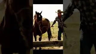 This Horse is a TRUE HERO! 😭 He Ran For Help #animalrescue