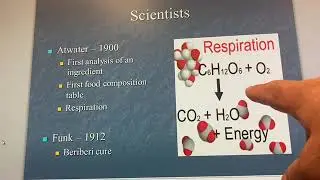 History of Nutrition