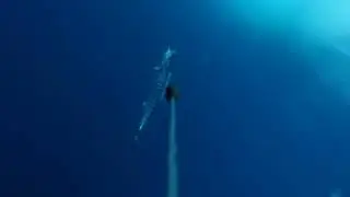 Underwater wahoo bite with Hook-eye Sport fishing Camera