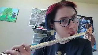 Me playing Gaur Plain (Night) Xenoblade Chronicles: Definitive Edition on my flute