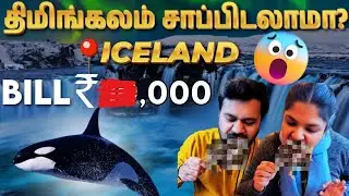 Shocking Truth About Bill! Seafood Review in Iceland 🤑😱🍖