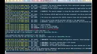 Using cf logs To Access Application Logs