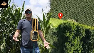Trail Cam настроен для предсезонного инвентаря Buck