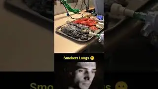 A Healthy Lungs vs Smokers Lungs 🫁 #shorts #trending  #trollface #ytshorts #biology