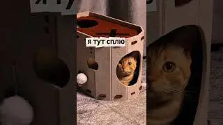 Артикул на WB: 529980884
