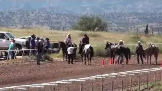 Santa Cruz County Fair, Sonoita AZ Pony Express Race