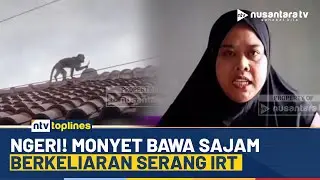 Mencekam! Ibu Rumah Tangga di Garut Diserang Monyet Lepas yang Bawa Pisau Dapur | NTV TOPLINES
