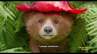 Paddington en Per&uacute; - Un pa&iacute;s de aventuras inolvidables