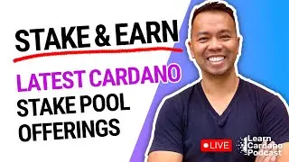 Последние предложения пулов первичного стейкинга Cardano, новый Cardano ISPO