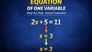 Equation of One Variable | Step-by-Step Method | Solved Examples | KKClasses