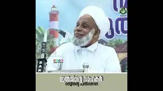 ഇൽമിന്റെ വാഹകർ 💓സിദ്ധീഖീങ്ങളെ അല്ലാഹു പരിഗണിക്കുന്നത്. ...............🔅...............“